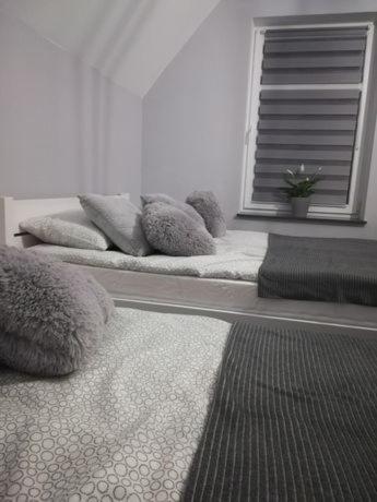 Apartamento U Ptaka - Podgórzyn Exterior foto