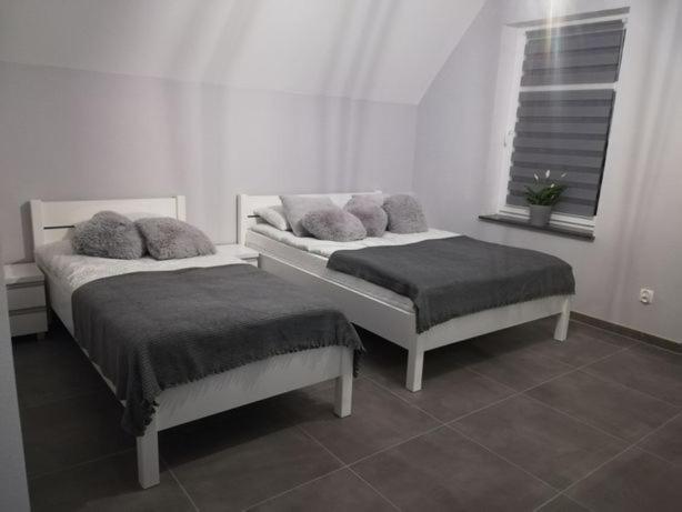 Apartamento U Ptaka - Podgórzyn Exterior foto
