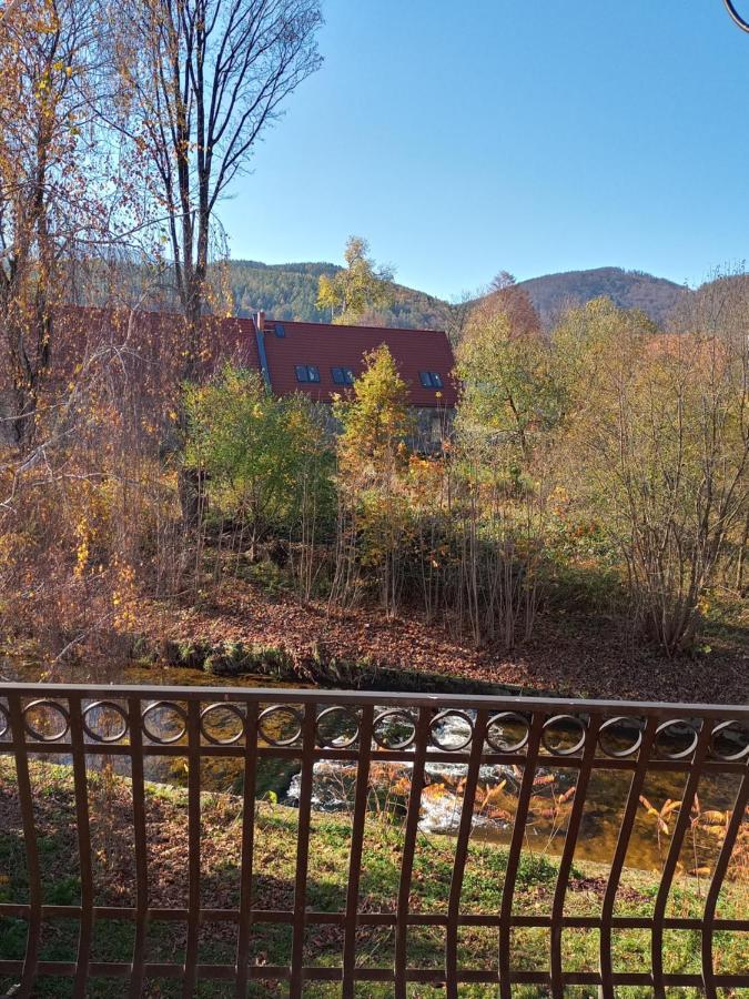 Apartamento U Ptaka - Podgórzyn Exterior foto